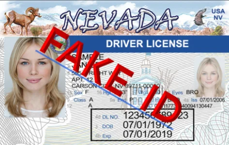 Fake ID detection example